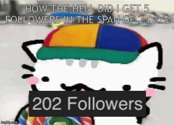 cat licking lollipop | HOW THE HELL DID I GET 5 FOLLOWERS IN THE SPAN OF 2 DAYS | image tagged in cat licking lollipop | made w/ Imgflip meme maker