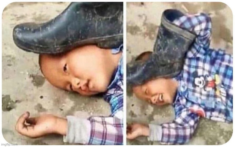 Help, I've Fallen From China Thru The Border Fence | image tagged in false flag,political meme,politics,funny memes,funny | made w/ Imgflip meme maker