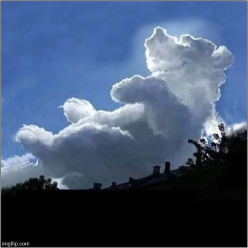 Nice Cloud ! | image tagged in dogs,cloud | made w/ Imgflip meme maker