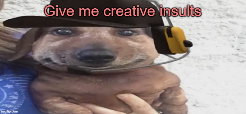 E | Give me creative insults | image tagged in chucklenuts,memes,msmg,creative,insult | made w/ Imgflip meme maker