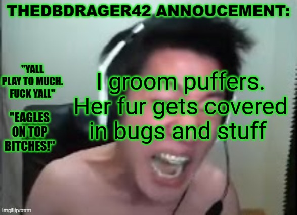 thedbdrager42s annoucement template | I groom puffers. Her fur gets covered in bugs and stuff | image tagged in thedbdrager42s annoucement template | made w/ Imgflip meme maker