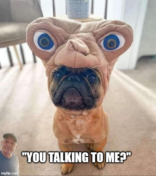 You Talking To Me | "YOU TALKING TO ME?" | image tagged in durlearl | made w/ Imgflip meme maker