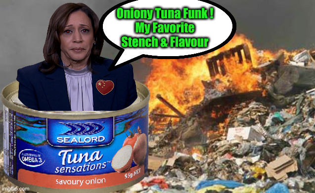 Something Is Rotten ! | Oniony Tuna Funk !
My Favorite Stench & Flavour | image tagged in landfill fire,political meme,politics,funny memes,funny,kamala harris | made w/ Imgflip meme maker