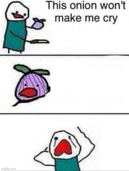 This onion wont make me cry | image tagged in this onion wont make me cry | made w/ Imgflip meme maker