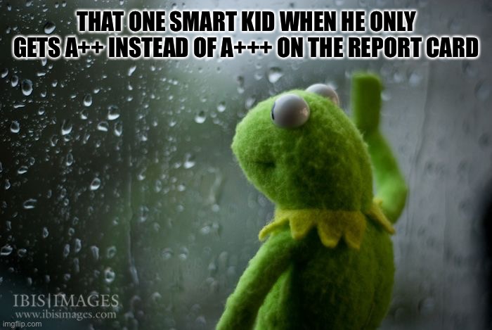 It’s not that Deep | THAT ONE SMART KID WHEN HE ONLY GETS A++ INSTEAD OF A+++ ON THE REPORT CARD | image tagged in kermit window | made w/ Imgflip meme maker