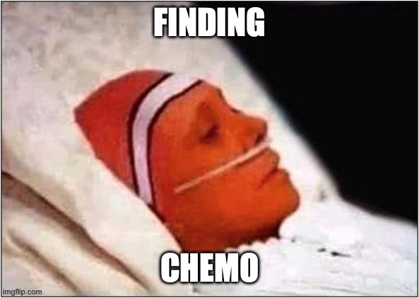 found this | FINDING; CHEMO | made w/ Imgflip meme maker