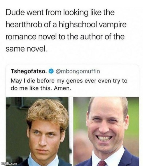 High school vampire novel | image tagged in memes,reddit,rareinsults,vampire,novel | made w/ Imgflip meme maker