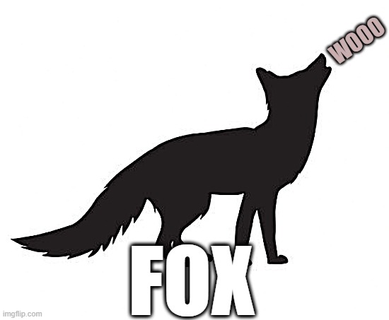 fox | WOOO; FOX | image tagged in fox,star fox,foxes,foxy running | made w/ Imgflip meme maker