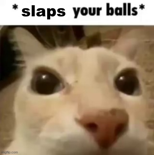 X your balls | slaps | image tagged in x your balls | made w/ Imgflip meme maker