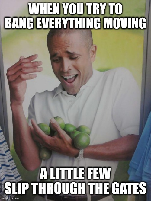 One at a time, two at most | WHEN YOU TRY TO BANG EVERYTHING MOVING; A LITTLE FEW SLIP THROUGH THE GATES | image tagged in memes,why can't i hold all these limes | made w/ Imgflip meme maker