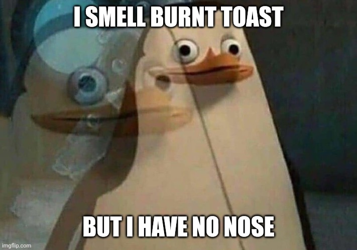 private penguin existential crisis | I SMELL BURNT TOAST; BUT I HAVE NO NOSE | image tagged in private penguin existential crisis | made w/ Imgflip meme maker