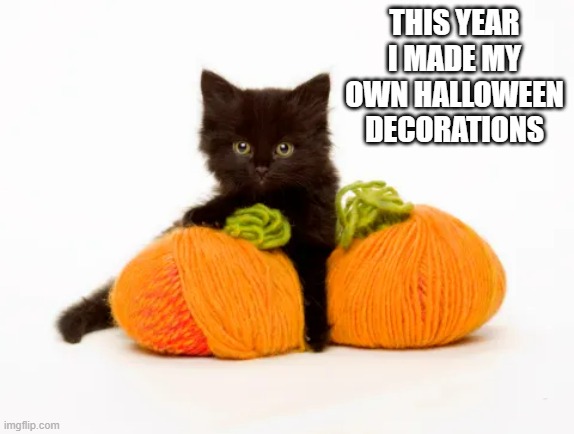 memes by Brad - My kitten made her own Halloween decorations - humor | THIS YEAR I MADE MY OWN HALLOWEEN DECORATIONS | image tagged in cats,funny,kittens,halloween,humor,black cat | made w/ Imgflip meme maker