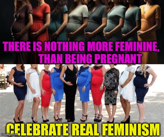 Promote the joy of parenthood. Make life fun | THERE IS NOTHING MORE FEMININE,           THAN BEING PREGNANT; CELEBRATE REAL FEMINISM | image tagged in gifs,parenthood,pregnant woman,feminism,joy | made w/ Imgflip meme maker