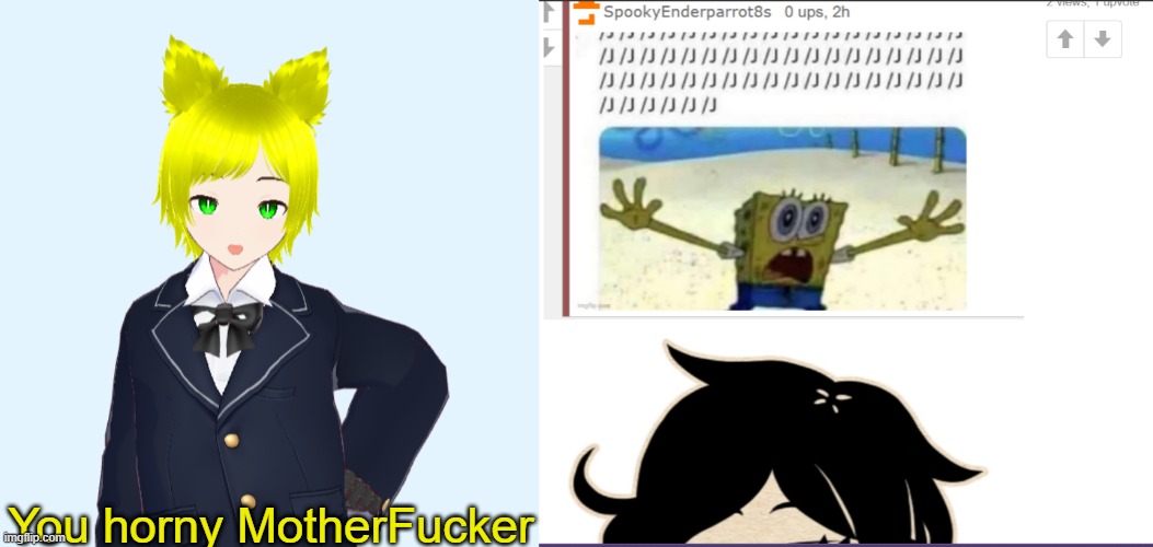 I go to Ecchi, to see how bad the Ashley Anons are, and I see a Blank Meme Template