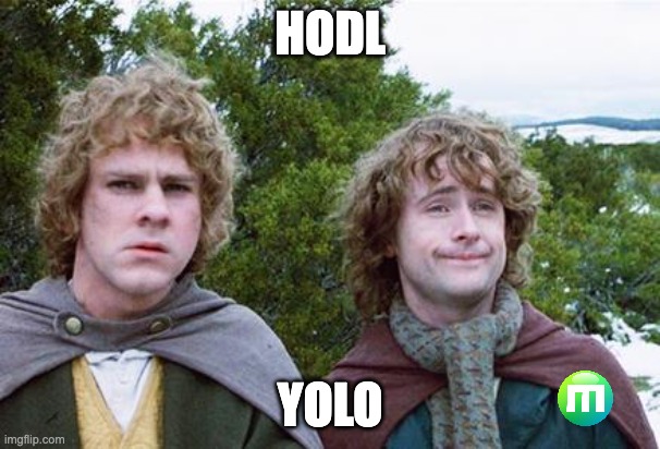 Second Breakfast | HODL; YOLO | image tagged in second breakfast | made w/ Imgflip meme maker