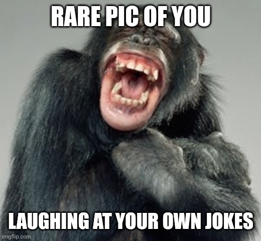 i like monkeys | RARE PIC OF YOU; LAUGHING AT YOUR OWN JOKES | image tagged in laughing monkey | made w/ Imgflip meme maker