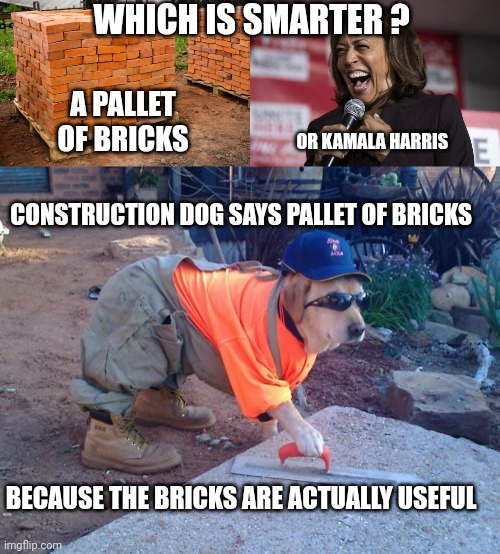 kamala harris meme | WHICH IS SMARTER ? A PALLET OF BRICKS; OR KAMALA HARRIS; CONSTRUCTION DOG SAYS PALLET OF BRICKS; BECAUSE THE BRICKS ARE ACTUALLY USEFUL | image tagged in kamala laughing,construction dog | made w/ Imgflip meme maker