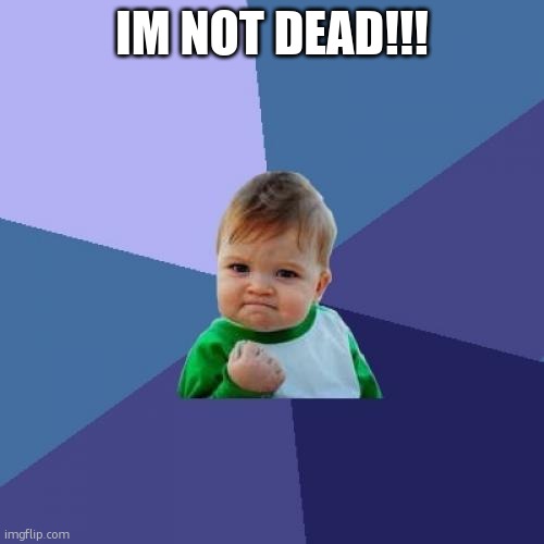 or mabye im a ghost. | IM NOT DEAD!!! | image tagged in memes,success kid,im not dead | made w/ Imgflip meme maker