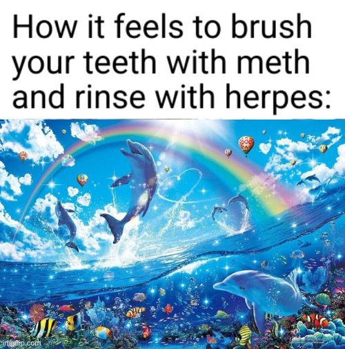 image tagged in happy dolphin rainbow | made w/ Imgflip meme maker