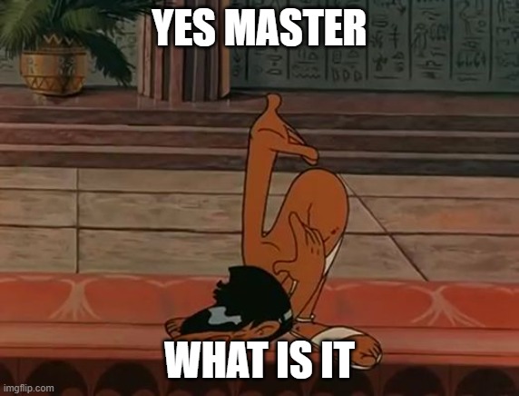 YES MASTER WHAT IS IT | image tagged in yes master | made w/ Imgflip meme maker