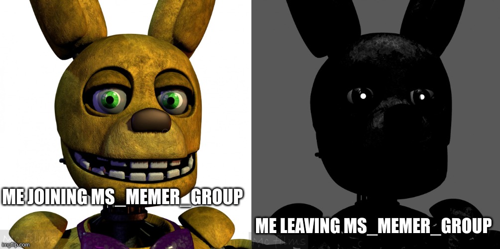 Fnaf canny and uncanny springbonnie | ME LEAVING MS_MEMER_GROUP; ME JOINING MS_MEMER_GROUP | image tagged in fnaf canny and uncanny springbonnie | made w/ Imgflip meme maker