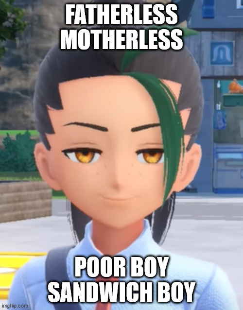 Nemona Smug Face | FATHERLESS
MOTHERLESS; POOR BOY
SANDWICH BOY | image tagged in nemona smug face | made w/ Imgflip meme maker