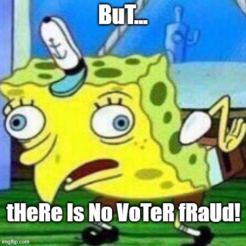 Democrat Excuses | BuT... tHeRe Is No VoTeR fRaUd! | image tagged in triggerpaul | made w/ Imgflip meme maker