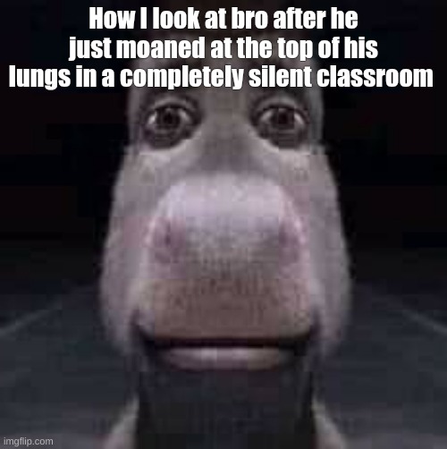 bro wut da hell | How I look at bro after he just moaned at the top of his lungs in a completely silent classroom | image tagged in donkey staring | made w/ Imgflip meme maker