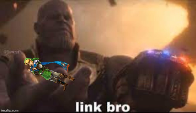 link bro | image tagged in link bro | made w/ Imgflip meme maker