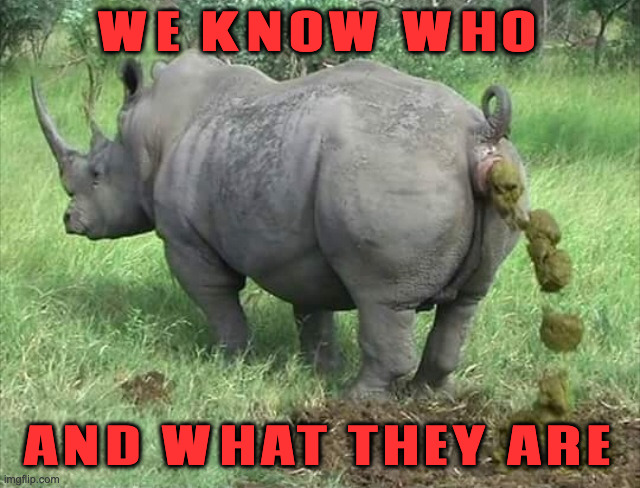 Rino | WE KNOW WHO AND WHAT THEY ARE | image tagged in rino | made w/ Imgflip meme maker