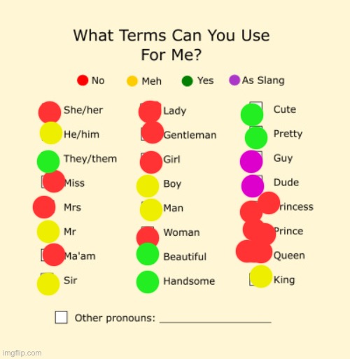 Pronouns Sheet | image tagged in pronouns sheet | made w/ Imgflip meme maker