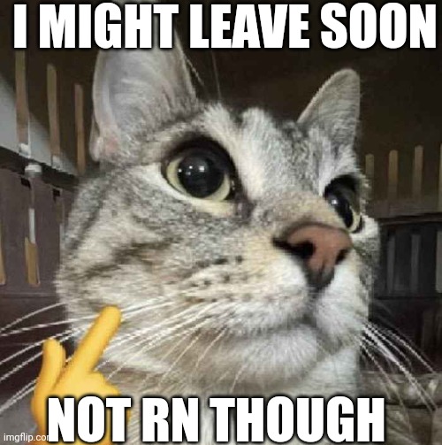 Mewing Cat | I MIGHT LEAVE SOON; NOT RN THOUGH | image tagged in mewing cat | made w/ Imgflip meme maker