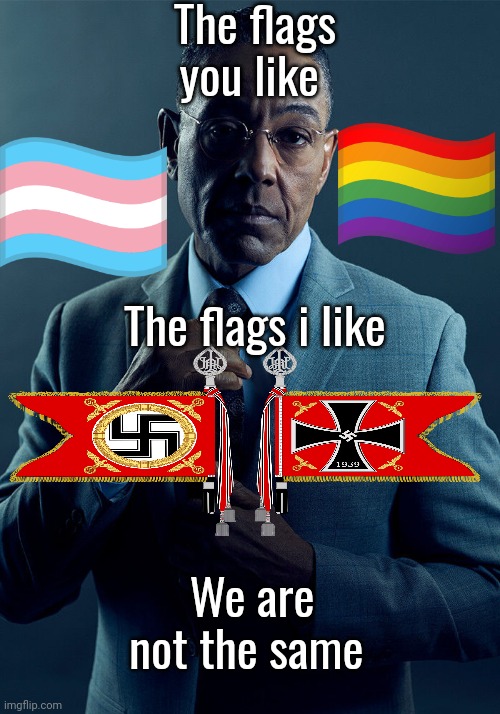 Gus Fring we are not the same | The flags you like; The flags i like; We are not the same | image tagged in gus fring we are not the same | made w/ Imgflip meme maker