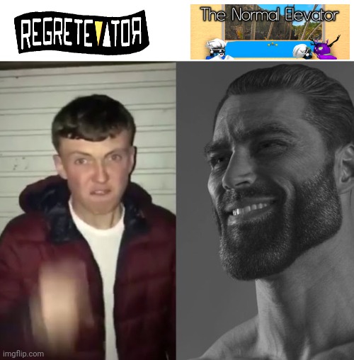 Average Fan vs Average Enjoyer | image tagged in average fan vs average enjoyer | made w/ Imgflip meme maker
