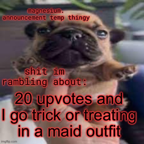 Hell yeah, I should post this to imgflip | 20 upvotes and I go trick or treating in a maid outfit | image tagged in pug temp | made w/ Imgflip meme maker