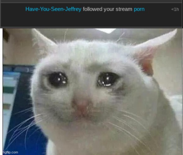 NAHHH | image tagged in crying cat | made w/ Imgflip meme maker