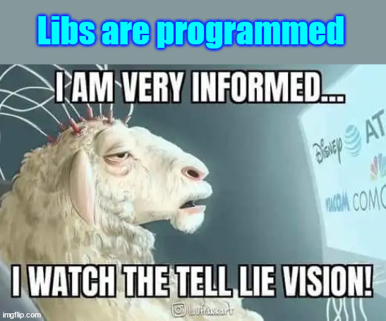 Libs are programmed | made w/ Imgflip meme maker