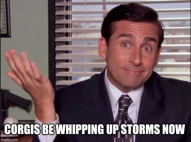 Michael Scott | CORGIS BE WHIPPING UP STORMS NOW | image tagged in michael scott | made w/ Imgflip meme maker