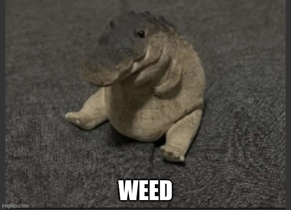 Greg | WEED | image tagged in greg | made w/ Imgflip meme maker