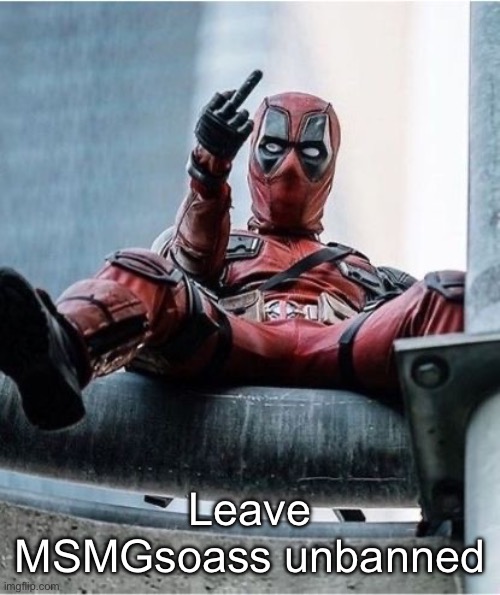 I love the little goober | Leave MSMGsoass unbanned | image tagged in deadpool middle finger | made w/ Imgflip meme maker