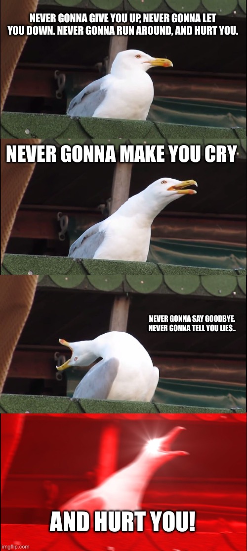 Inhaling Seagull | NEVER GONNA GIVE YOU UP, NEVER GONNA LET YOU DOWN. NEVER GONNA RUN AROUND, AND HURT YOU. NEVER GONNA MAKE YOU CRY; NEVER GONNA SAY GOODBYE. NEVER GONNA TELL YOU LIES.. AND HURT YOU! | image tagged in memes,inhaling seagull | made w/ Imgflip meme maker