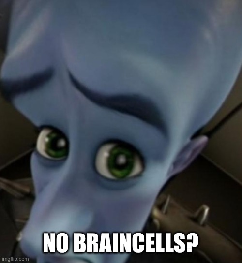 Megamind no bitches | NO BRAINCELLS? | image tagged in megamind no bitches | made w/ Imgflip meme maker