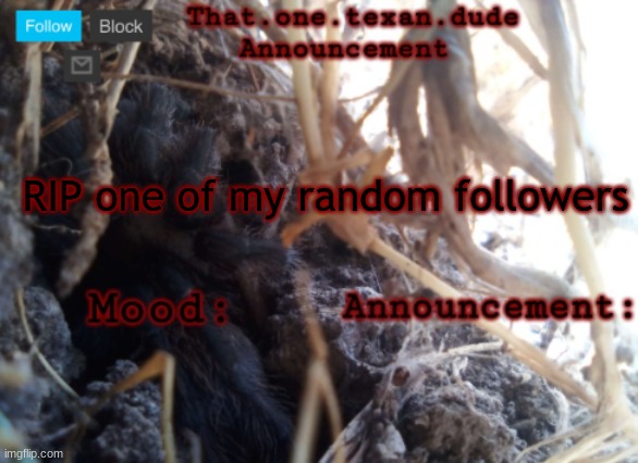 THE that.one.texan.dude announcement template | RIP one of my random followers | image tagged in the that one texan dude announcement template | made w/ Imgflip meme maker