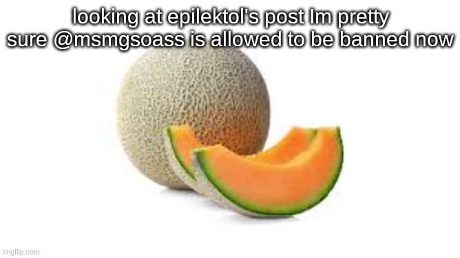 Yahiamice Cantaloupe | looking at epilektol's post Im pretty sure @msmgsoass is allowed to be banned now | image tagged in yahiamice cantaloupe | made w/ Imgflip meme maker