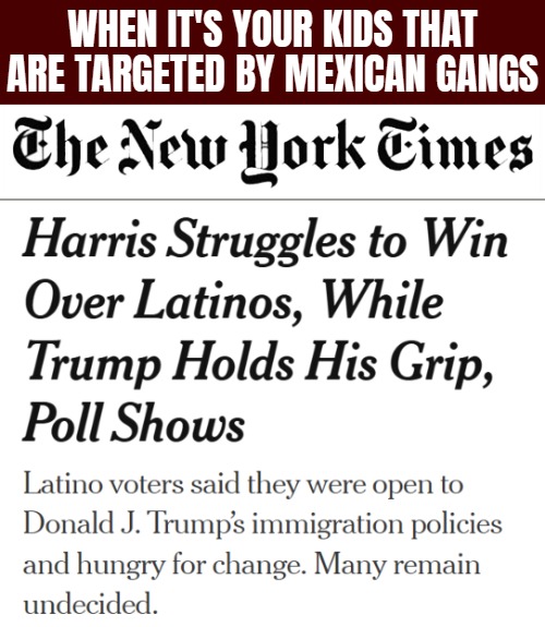 WHEN IT'S YOUR KIDS THAT ARE TARGETED BY MEXICAN GANGS | image tagged in donald trump,immigration,election,kamala harris | made w/ Imgflip meme maker