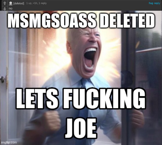 MSMGSOASS DELETED | image tagged in let s fucking joe | made w/ Imgflip meme maker