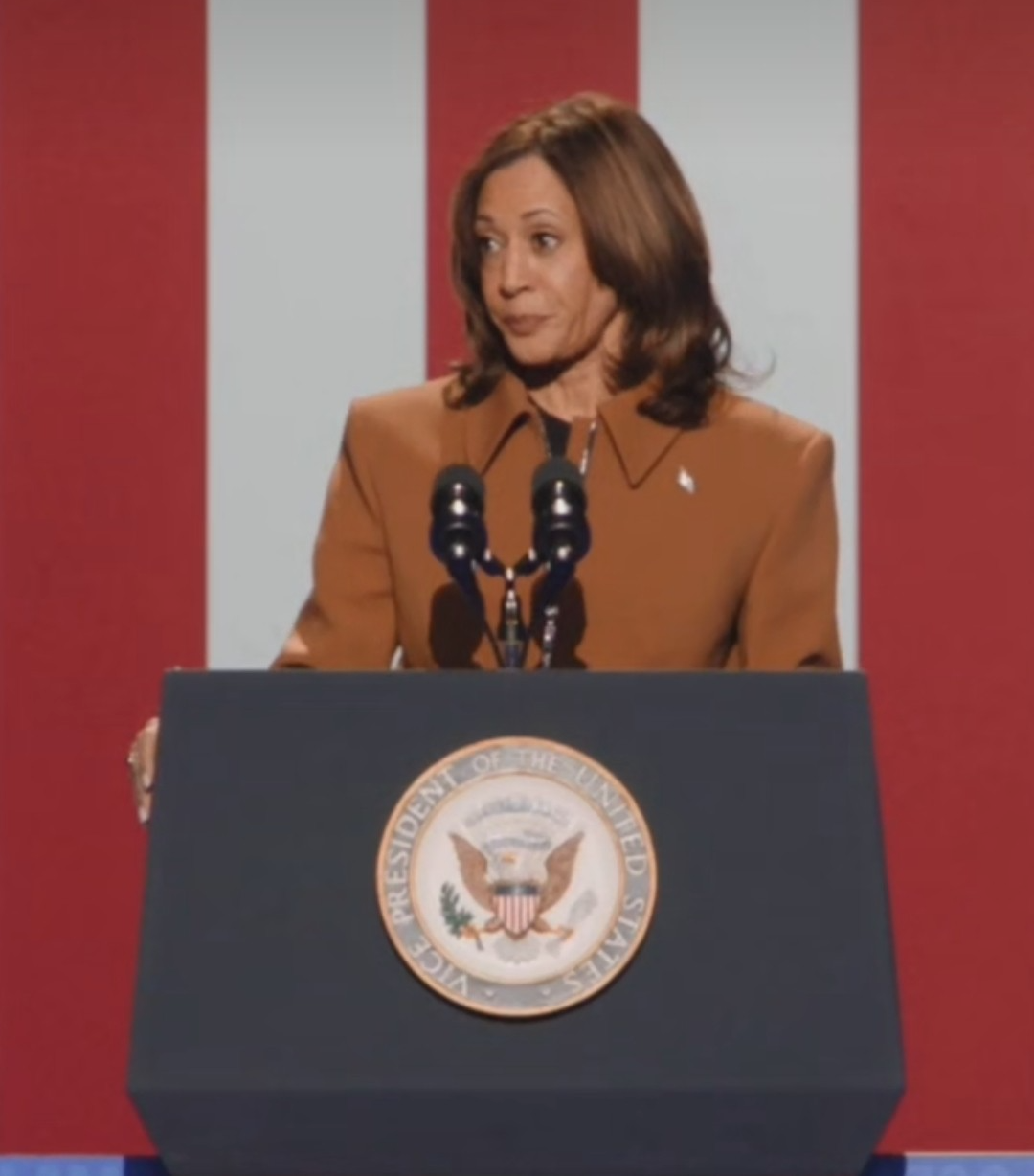 Kamala side eye Blank Meme Template