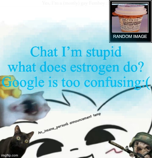 My lil announcement | Chat I’m stupid what does estrogen do? Google is too confusing:( | image tagged in my lil announcement | made w/ Imgflip meme maker