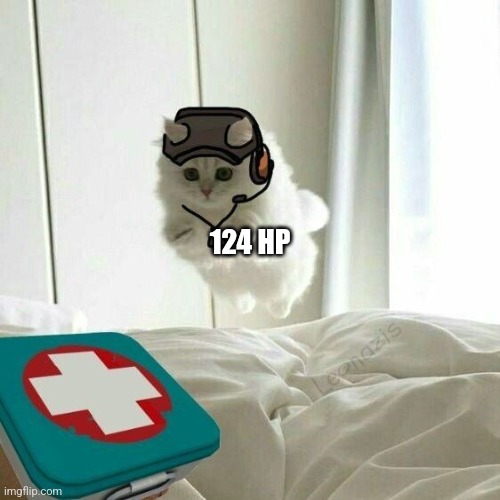 Bruh | 124 HP | image tagged in cat,tf2 | made w/ Imgflip meme maker