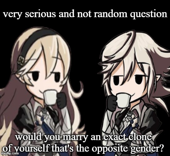 very serious and not random question; would you marry an exact clone of yourself that's the opposite gender? | made w/ Imgflip meme maker